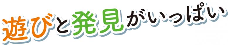 遊びと発見がいっぱい