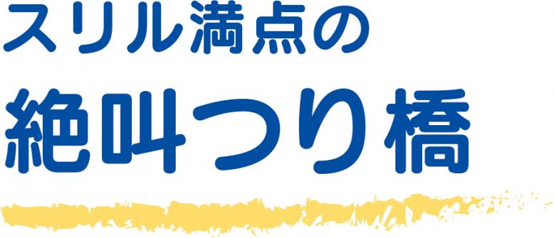 スリル満点の絶叫つり橋