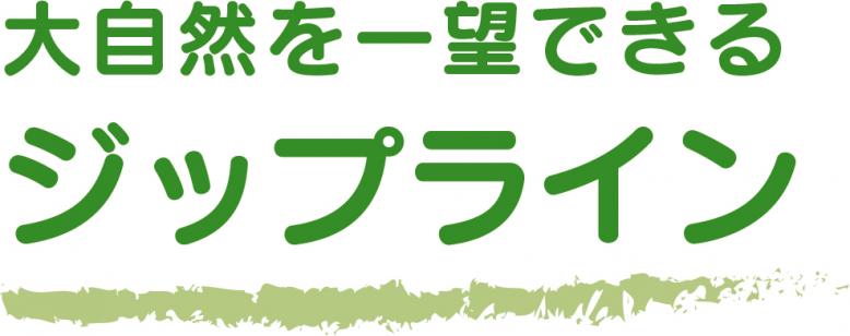 大自然を一望できるジップライン