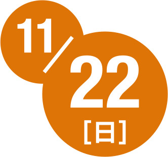 11月22日日曜日