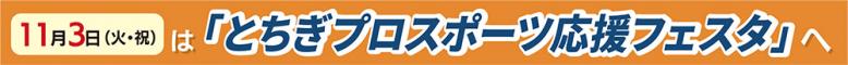 11月3日（火曜日・祝日）はとちぎプロスポーツ応援フェスタへ