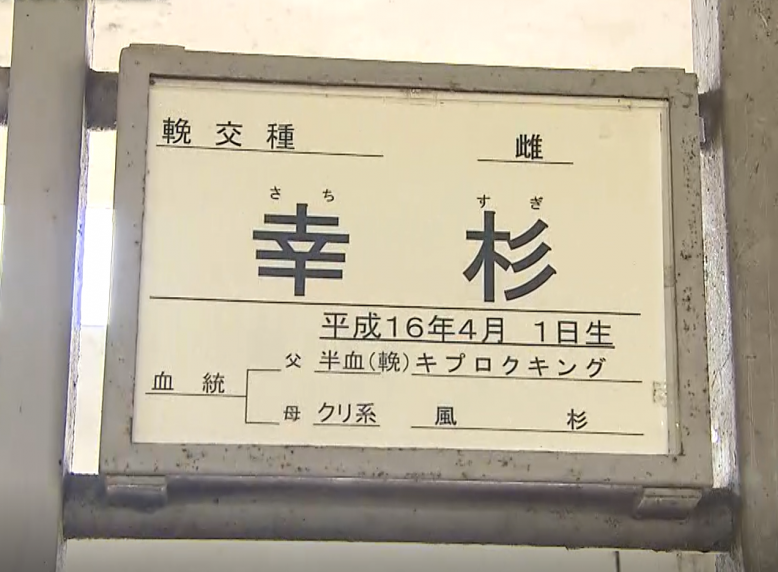 馬の名前は・・・