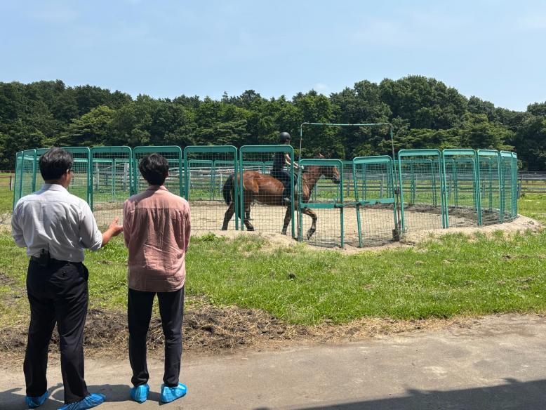 馬の調教風景