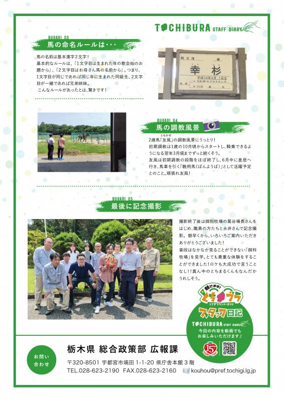 リーフレット裏#1