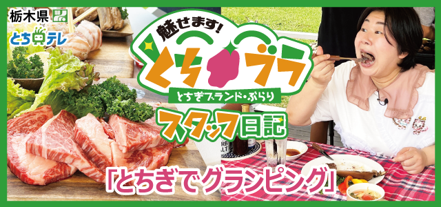 バナー画像
