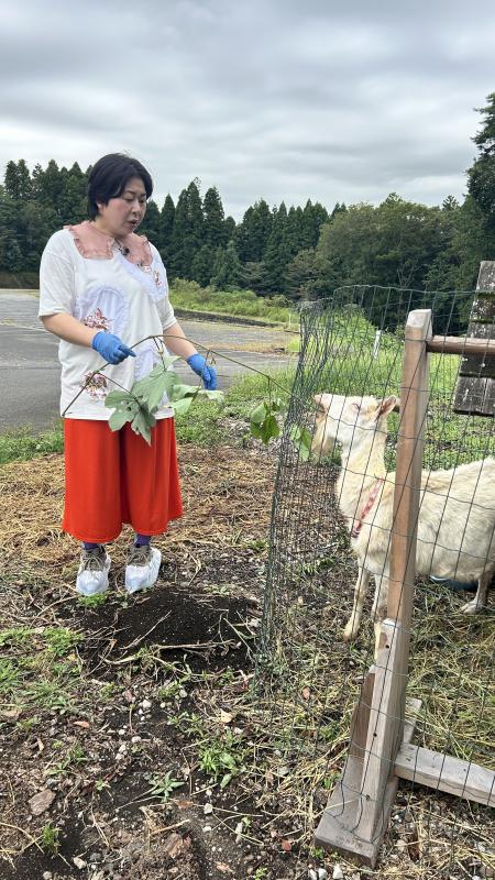 ツタをヤギにあげる大島さん