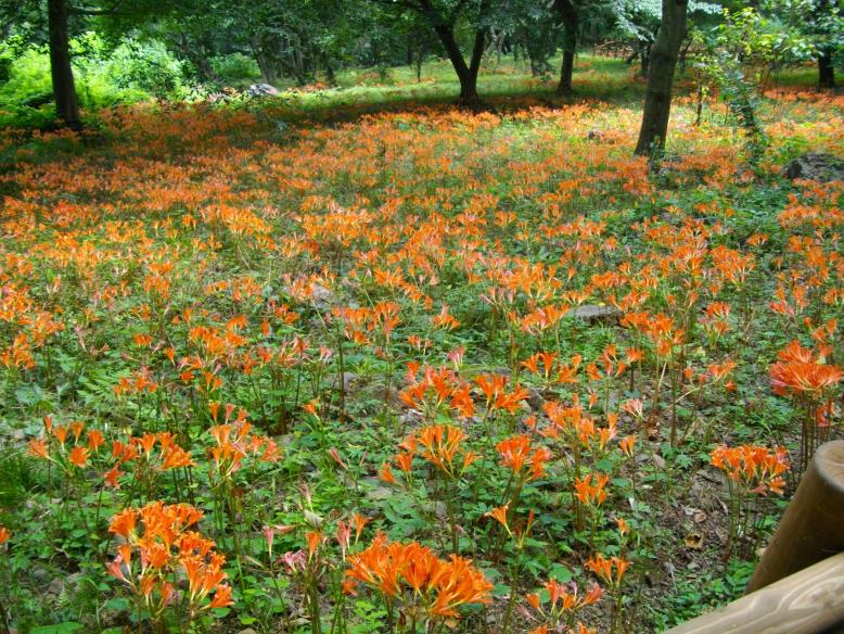 みかも山公園様2