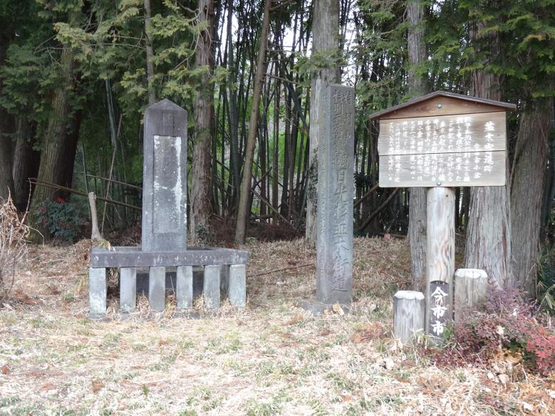 日光杉並木街道様10