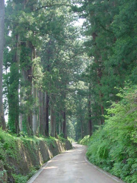 日光杉並木街道様13