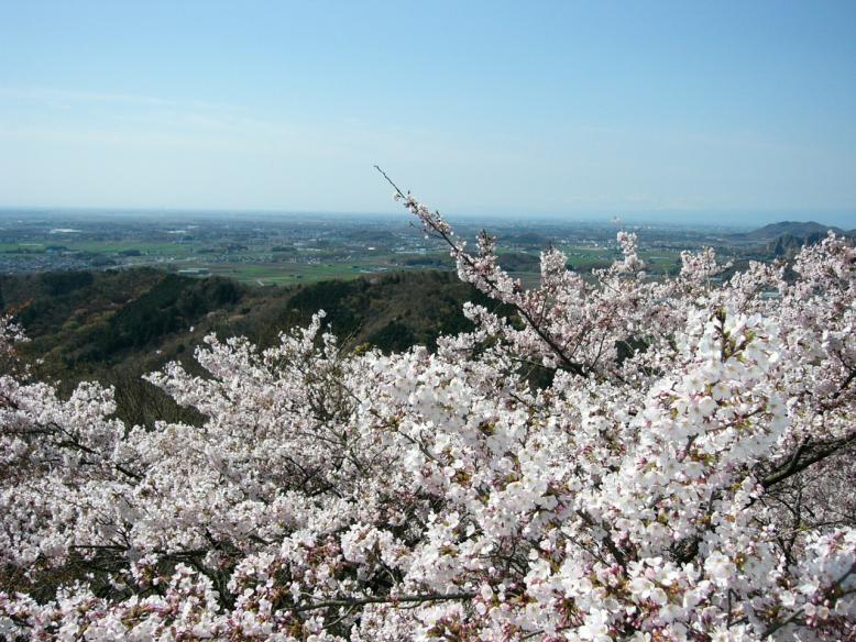 大平山様1