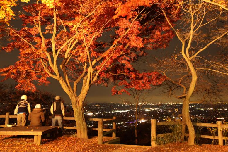 大平山様3
