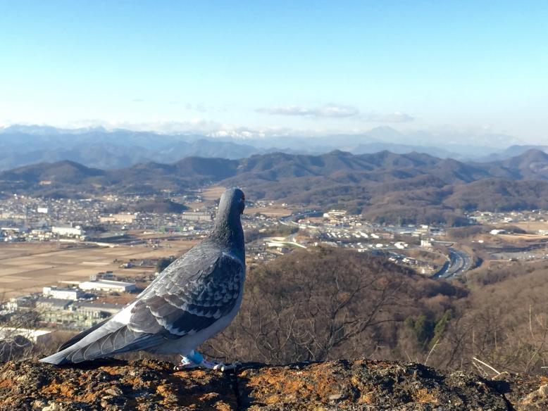 みかも山公園様8