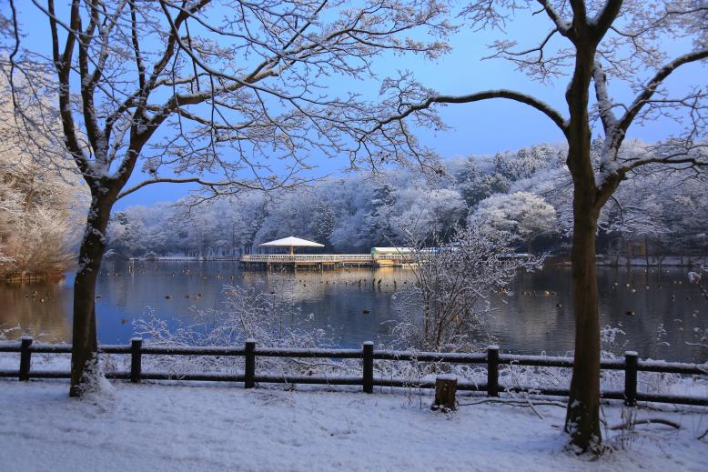 井頭公園・一万人プール様12