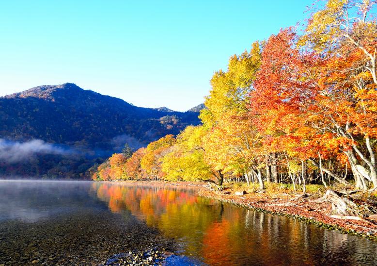 日光の絶景（華厳ノ滝、いろは坂、中禅寺湖、竜頭ノ滝）様1