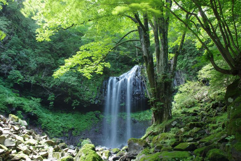 霧降高原様1