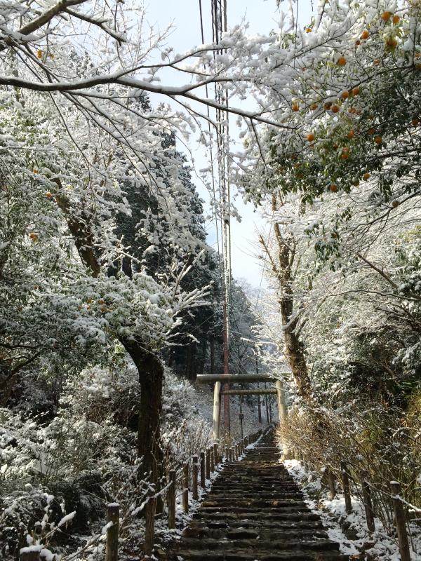 大平山様18
