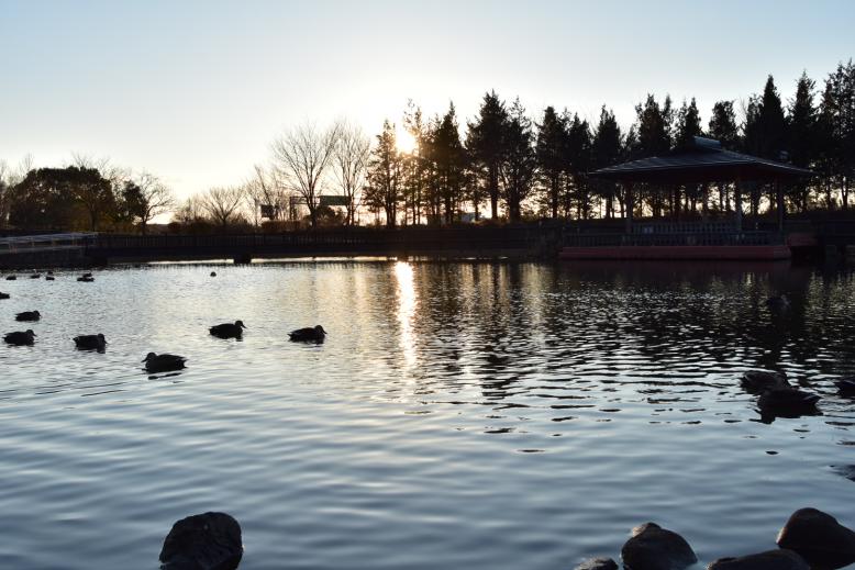 みかも山公園様9