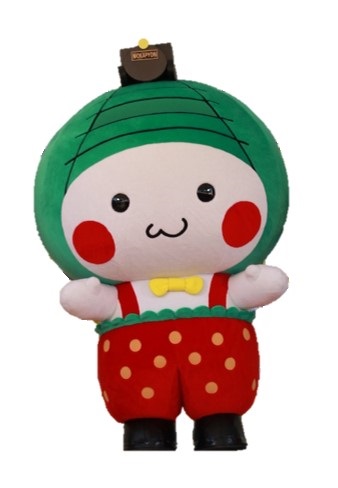 もおかぴょん