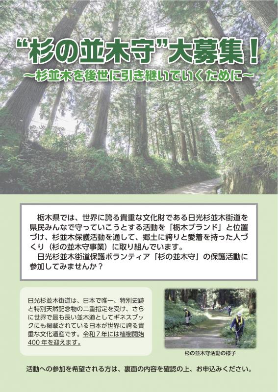 namikimori