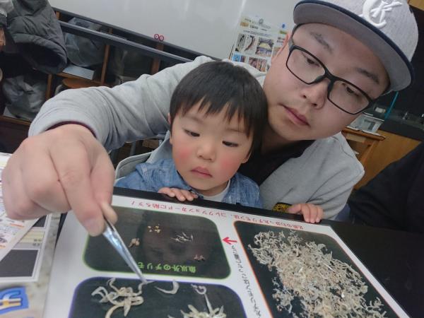 おさかな研究室