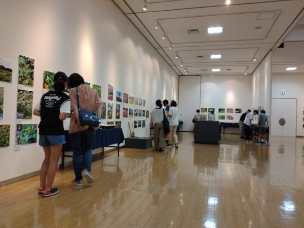 2024年の展覧会風景
