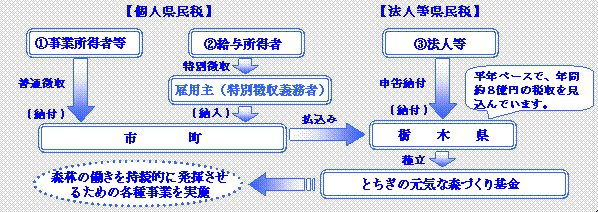 とちぎの元気な森づくり県民税の流れ