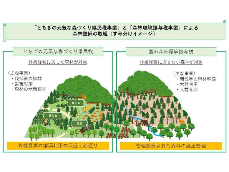 とちぎの元気な森づくり県民税とのすみ分け