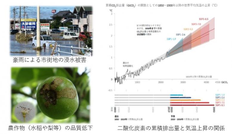 報告書概要版の抜粋1