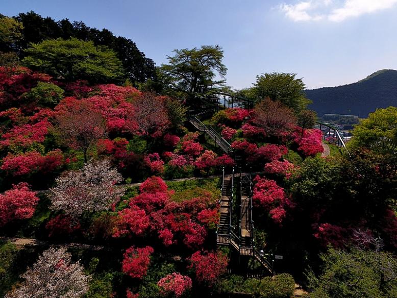 粟野緑地環境保全地域の写真2