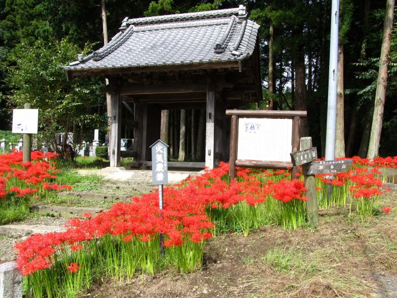 根本山緑地環境保全地域の写真1