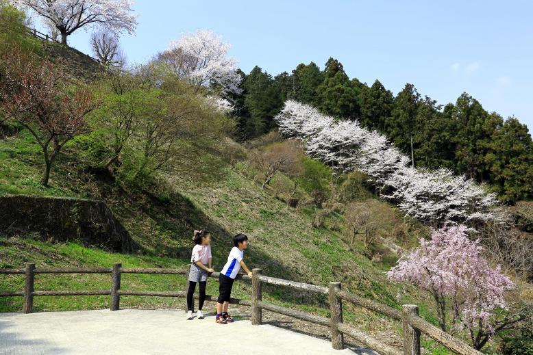 喜連川緑地環境保全地域の写真