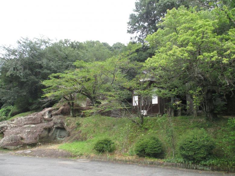 長岡緑地環境保全地域の写真