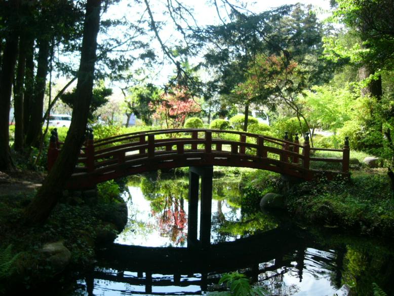 惣社緑地環境保全地域の写真2