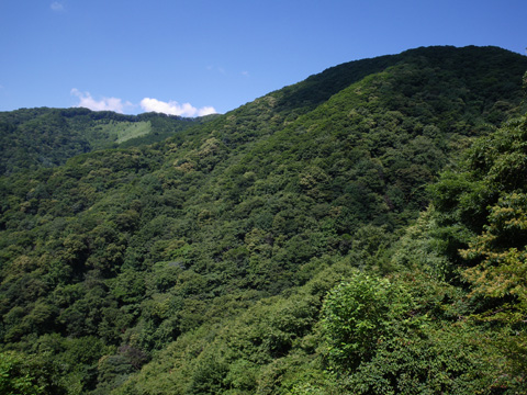 氷室の画像