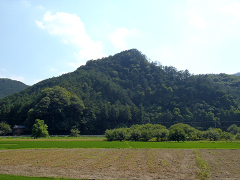 長谷場自然環境保全地域