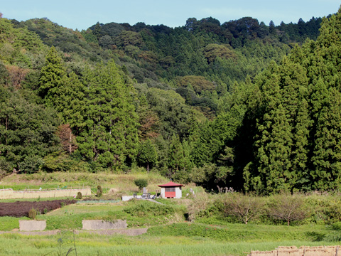 松倉山全景