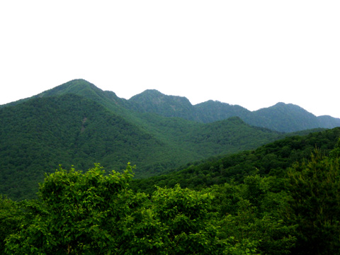 袈裟丸山自然環境保全地域