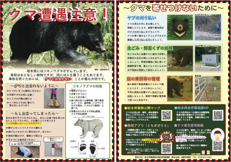 クマ注意喚起チラシ