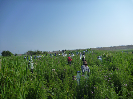 小山市会場２