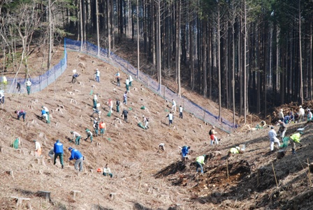 トラックの森作業風景