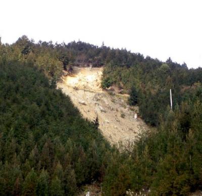 山腹荒廃地の写真