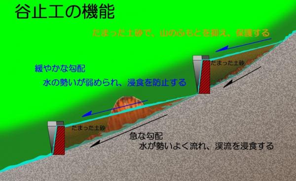 谷止工の機能の模式図