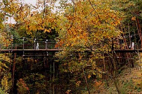 益子の森吊り橋
