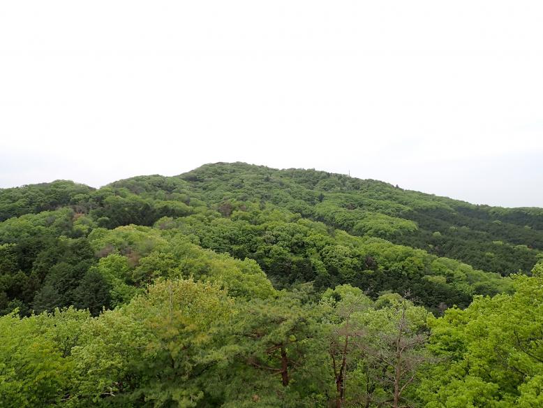 高館山