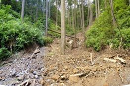 豪雨により荒廃した渓流の写真