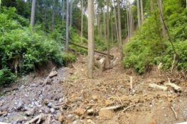 豪雨により荒廃した渓流の写真