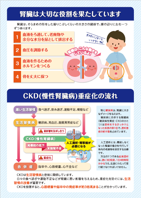 CKD2