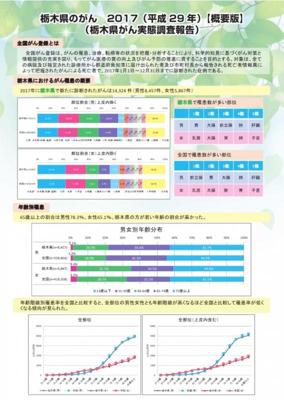 gaiyou1