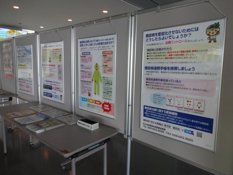 15階展示写真2