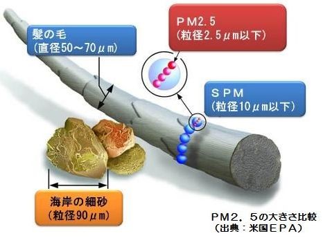 髪の毛と比較したPM2.5の大きさ